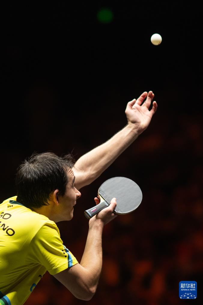 作为波兰国 作为波兰国