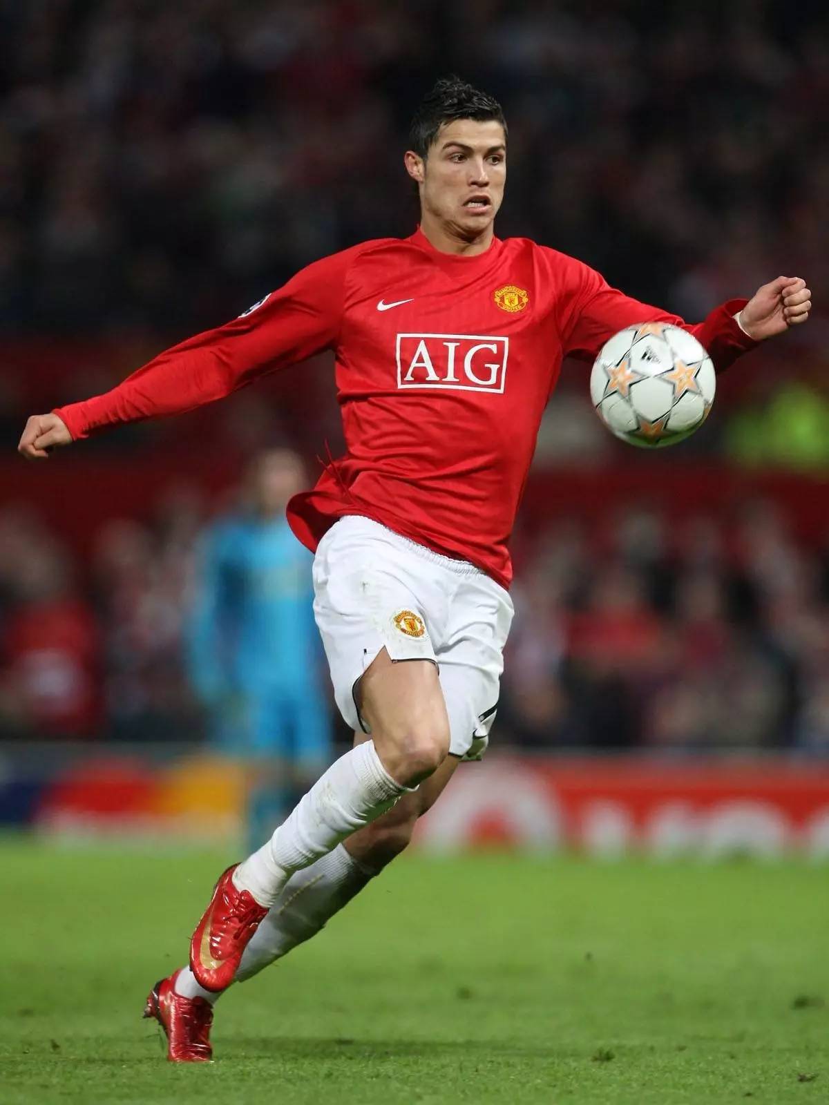 莱万多夫斯 莱万多夫斯