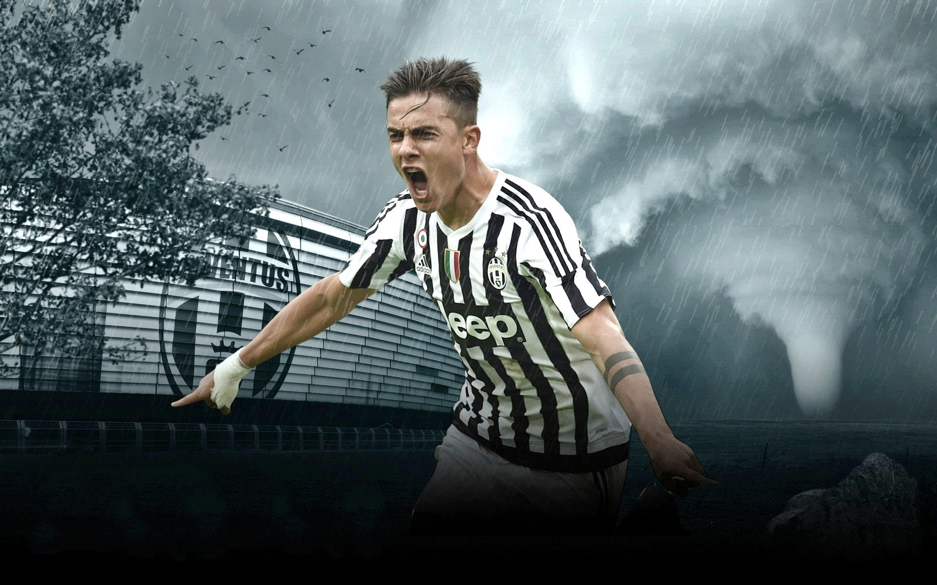 家选择在线 家选择在线