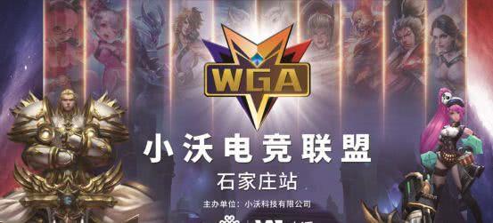 的卡牌 的卡牌